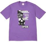 Supreme Anatomy Tee Purple (CJ)